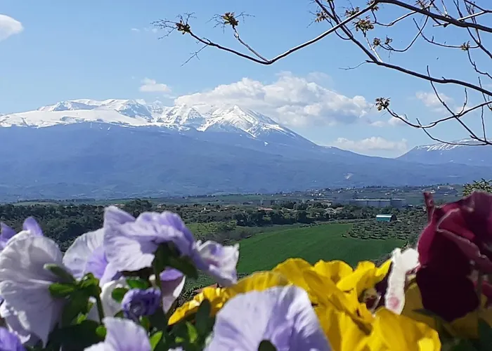 Casa Olga * Pianella (Pescara)